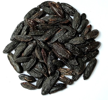 Fasola Tonka beans 15 g tonkowiec wonny aromaterapia RZADKOŚĆ Skworcu