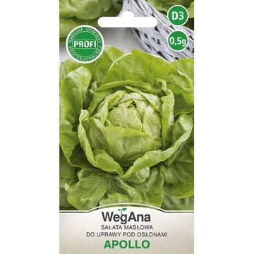 Sałata masłowa Apollo WegAna 0,5 g ODMIANA PREMIUM pod osłony
