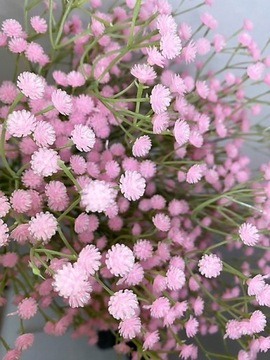 Искусственные цветы гипсофилы, декоративные ветки гипсовых деревьев