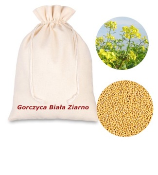 Gorczyca biała paszowa miododajna nasiona 25 kg