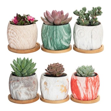 WYKOŃCZENIE ŁAZIENKI ROŚLINY DONICZKI CERAMICZNE