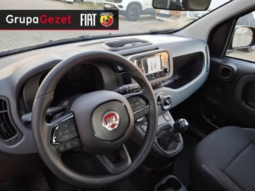 Fiat Panda III 2025 Fiat Panda Pandina Icon 1.0 70 KM 5-miejscowa, zdjęcie 13