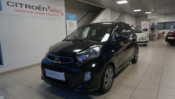 Kia Picanto II Hatchback 5d 1.2 85KM 2015 Kia Picanto 1.2 XL