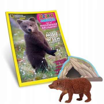 DZIKIE ZWIERZĘTA NIEDŹWIEDŹ FIGURKA XL NAKLEJKI 30