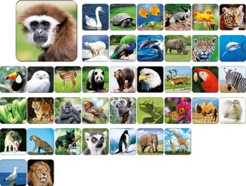 Настольная игра «Зоопарк памяти»