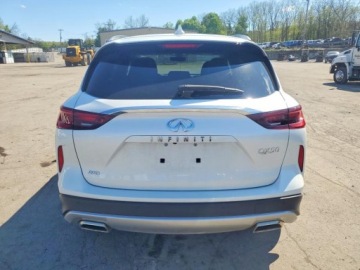 Infiniti QX50 2024 Infiniti QX50 Luxe 2024 2.0 Benzyna 268KM, zdjęcie 2