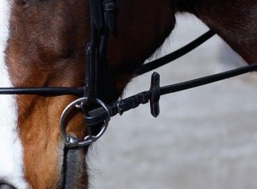 WĘDZIDŁO STUBBEN 2122 BUCEPHALUS 13,5