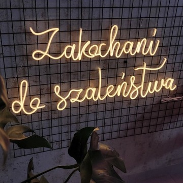 Zakochani do szaleństwa napis LEDOWY Neon LEDON