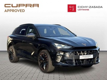 Cupra Terramar SUV 2.0 TSI 265KM 2024 Cupra Terramar Matrix Panorama Hak DCC FV23 Gwarancja 2029r 2.0, zdjęcie 6