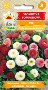 Nasiona Stokrotka pomponowa MIX 0,1g