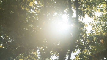 NiSi Black Mist 1/2 - Диффузионный фильтр - 72 мм