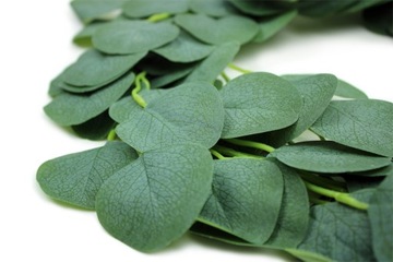 ЛИСТ ГИРЛЯНД Украшение Причастие Крещение Эвкалипт Лиана Плющ 200см