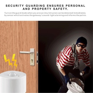 Датчик присутствия ZigBee PIR-детектор TUYA