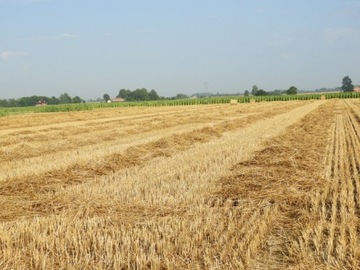 СОЛОМА КЛУБНИКА ДЛЯ ОВОЩЕЙ 4КГ