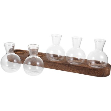 WISZĄCA DONICA ŚCIENNA TERRARIUM ROŚLINY DEKOR ROŚLIN