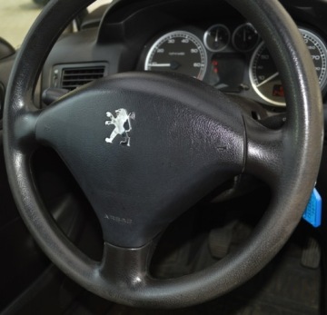 Peugeot 307 I Hatchback 1.6 16V 109KM 2003 PEUGEOT 307 1.6 16V 110 KM, zdjęcie 33