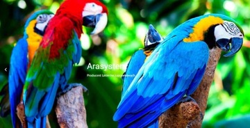 Кредит на рис. 10 мл Skoda 9153 9J LF8J Grey Anthracite