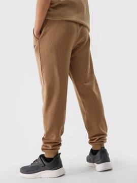 4F СПОРТИВНЫЕ БРЮКИ ДЛЯ МАЛЬЧИКОВ, ДЖОГГЕРЫ, ДЕТСКИЕ СПОРТИВНЫЕ БРЮКИ ВЛ. ВЛ. 24