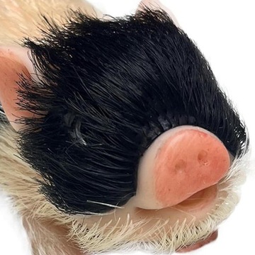 Reborn Piggy Doll Silikonowa świnka Lalka Mini Silikonowy Prosiaczek w styl