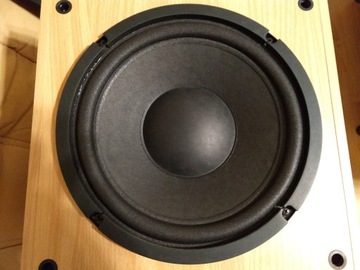 Монитор Audio ASW 100 СОСТОЯНИЕ как НОВОЕ