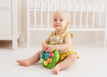 DUMEL DISCOVERY Symfonia Grzybków 62371