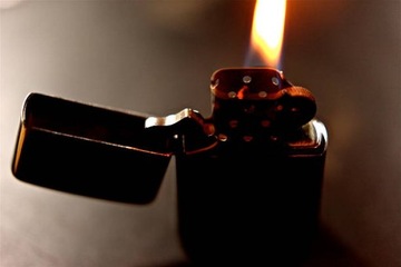 ЛАЗЕРНАЯ ЗАЖИГАЛКА ZIPPO LEAF DESIGN