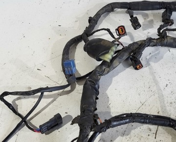 Жгут проводов Kawasaki KLE 650 Versys 2007-2009 гг.