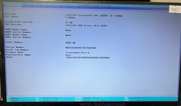 Matryca Au Optronics LED TN matowa 13,3 