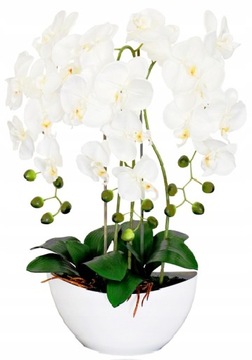 КРЫШКА ДЛЯ ЦВЕТОЧНОГО ВАЗОНА/ЛОДКА БЕЛАЯ С ГЛЯНЕКОМ - ЦВЕТА