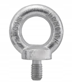 ВИНТ С УШИНКОЙ M10 DIN580