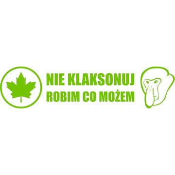 Naklejka zielony listek młody kierowca Janusz Nosacz 25x6cm