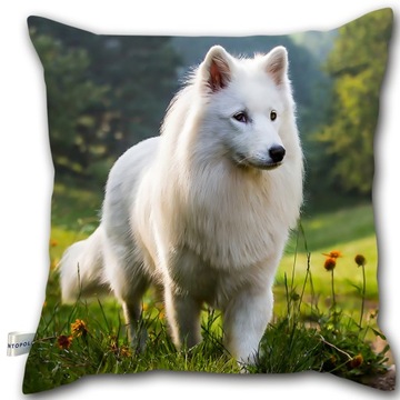Poduszka dekoracyjna 40x40 / Poduszka z psem / Samojed