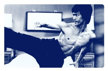 Magnes Bruce Lee karate