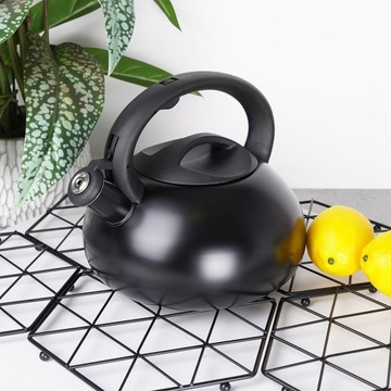 KULA BLACK стальной чайник со свистком для закипания воды на плите