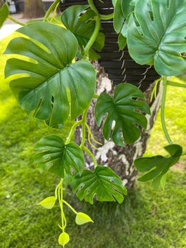 Sztuczne Kwiaty MONSTERA Girlanda Kwiatowa Biała Zwisające Sztuczny Bluszcz