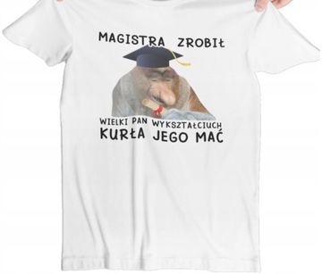 ФУТБОЛКА МУЖСКАЯ ПОДАРОЧНАЯ MAGISTER GREAT MR FUN