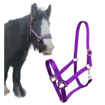 PONY KANTAR York Harmony taśmowy FIOLETOWY