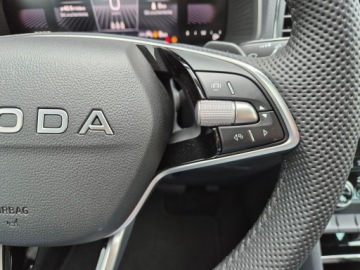 Skoda Karoq Crossover Facelifting 1.5 TSI ACT 150KM 2026 Skoda Karoq SPORTLINE 1.5 TSI DSG z placu 150 KM, zdjęcie 33