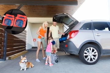 SILNA PASTA TRUTKA NA SZCZURY I MYSZY NO PEST 3KG