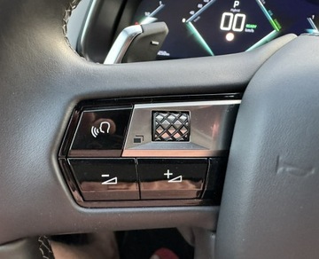  DS Automobiles DS 7 Crossback Rivoli,4x4,300KM,Ful, zdjęcie 22