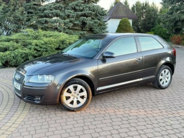Audi A3 8P Hatchback 3d 1.6 102KM 2004 Audi A3 3-drzwiowe 1.6mpi 102KM Klima Alusy Grzane fotele Sprawdz 1.6, zdjęcie 7