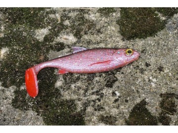 Real Fish ripper Płoć 10 cm