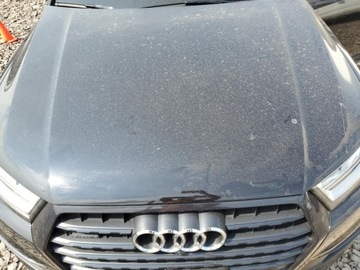 Audi Q7 II SUV 3.0 TFSI 333KM 2018 Audi Q7 2018 AUDI Q7 PREMIUM PLUS 3.0 Benzyna 333KM, zdjęcie 12