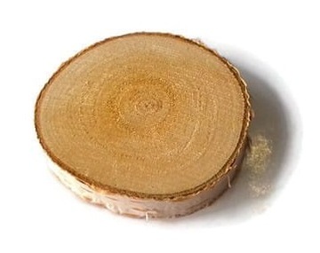 Drewniane Plastry drewna Brzoza krążki 6-8 cm eko