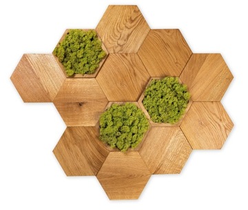 НАСТЕННЫЕ ПАНЕЛИ ТЕМНЫЙ МОХ HEXAGON MAXI