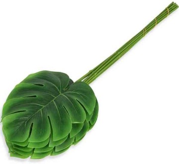 Liść Philo LIŚCIE filodendron MONSTERA latex green