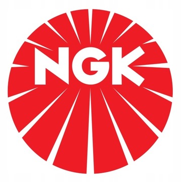 4X СВЕЧИ ЗАЖИГАНИЯ NGK BKR5EK V-LINE 23 4483