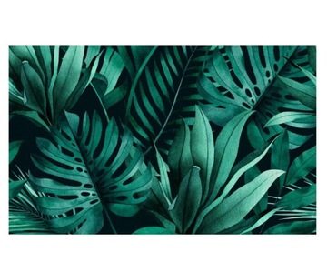 Fototapeta 520x318cm liście butelkowa zieleń
