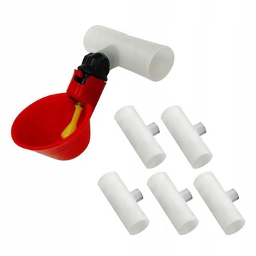 5шт голубь, птица, птица, курица, еда, вода