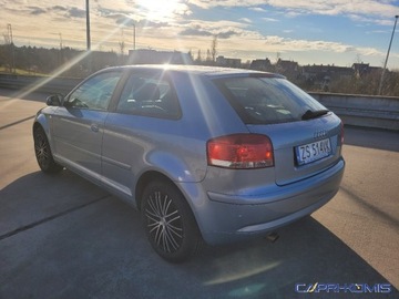 Audi A3 8P Hatchback 3d 1.6 102KM 2007 Audi A3 3-drzwiowe 1.6 MPi nowe opony Serwis Bezwypadkowy 1.6 Benzyna 102KM, zdjęcie 4